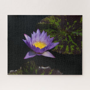 Puzzle Nénuphar violet