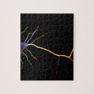 Puzzle Neuroscience, neuron, science