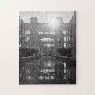 Puzzle Niveaux de gris de Sunburst Coronado