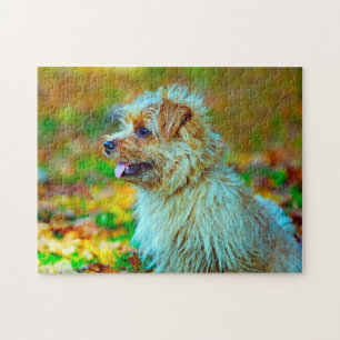 Puzzle Norfolk terrier Chien.