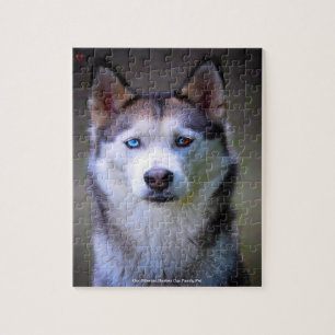 Puzzle Notre Huskey Sibérien Notre Animal De Famille