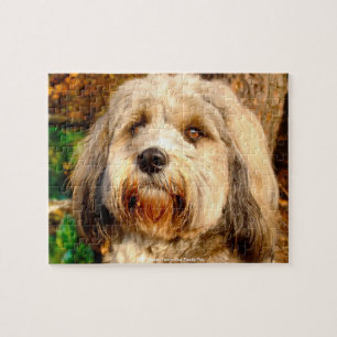 Puzzle Notre Terrier Tibétain Notre Famille Pet Jigsaw Pu