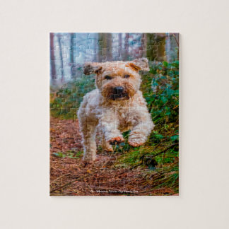 Puzzle Notre Terrier Wheaten, l'animal de compagnie de no