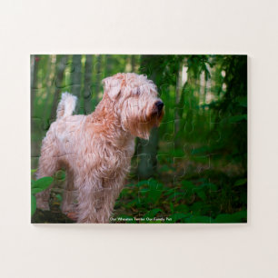 Puzzle Notre Terrier Wheaten, l'animal de compagnie de no