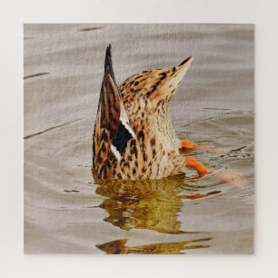 Puzzle Nourriture de canard de Majard sous l'eau