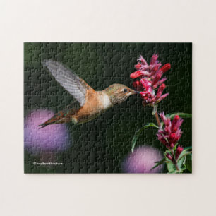 Puzzle Nourriture de colibri roux sur l'hyssop d'anis
