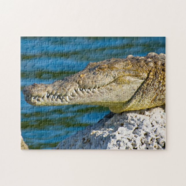 Puzzle Nous aimons Gators en Floride (Horizontal)