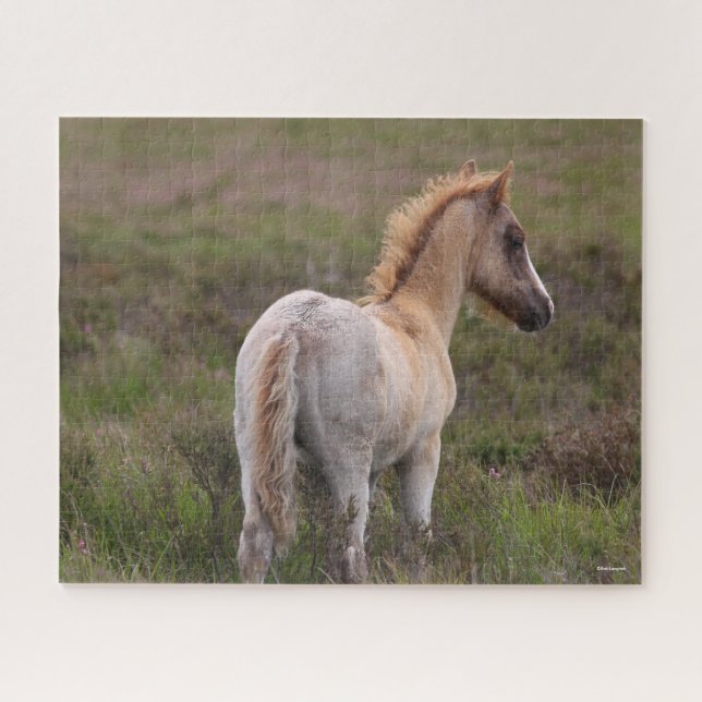 Puzzle Nouveau Foie De Pony Forestier À L'Écart (Horizontal)