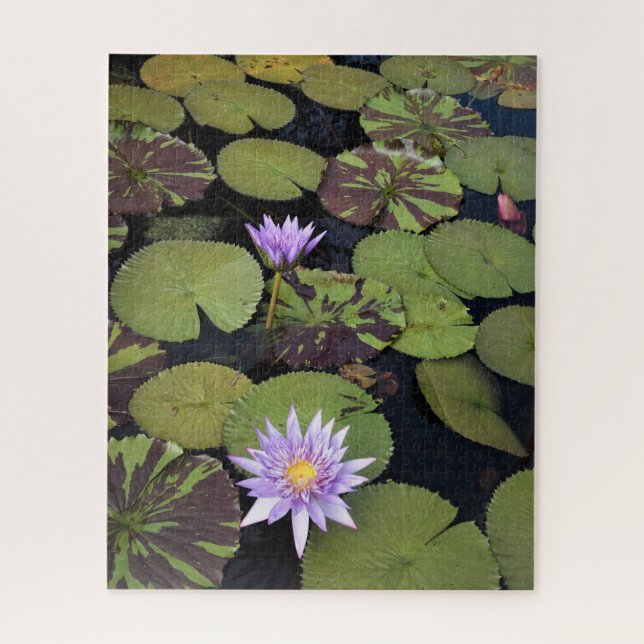 Puzzle Nymphéas (Vertical)