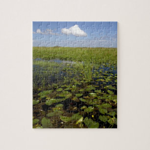 Puzzle Nymphéas et scirpe à feuilles de jonc dans les Eve