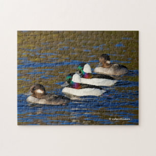 Puzzle Obtenir mes canards dans une rangée : Quatre Buffl