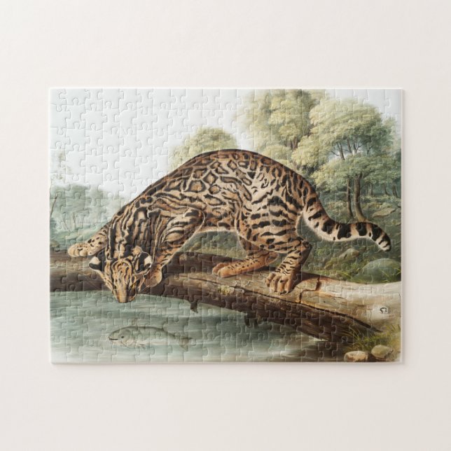 Puzzle Ocelot, chat léopard (Felis pardalis) Illustration (Horizontal)