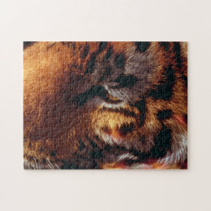 Puzzle Œil de Tigre Doré Gros Plan Faune