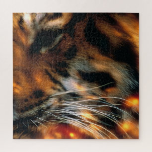 Puzzle Œil de Tigre Doré Gros Plan Faune