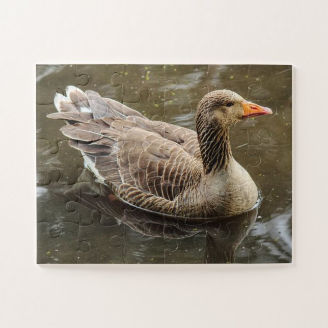 Puzzle Oie du laitier. Lac Roath Park, Cardiff, Pays de G (Horizontal)