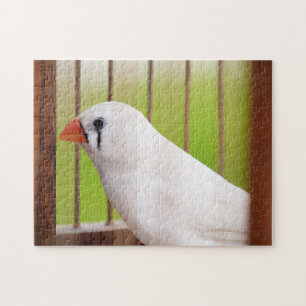 Puzzle Oiseau blanc Zèbre Finch en cage