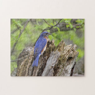 Puzzle Oiseau bleu