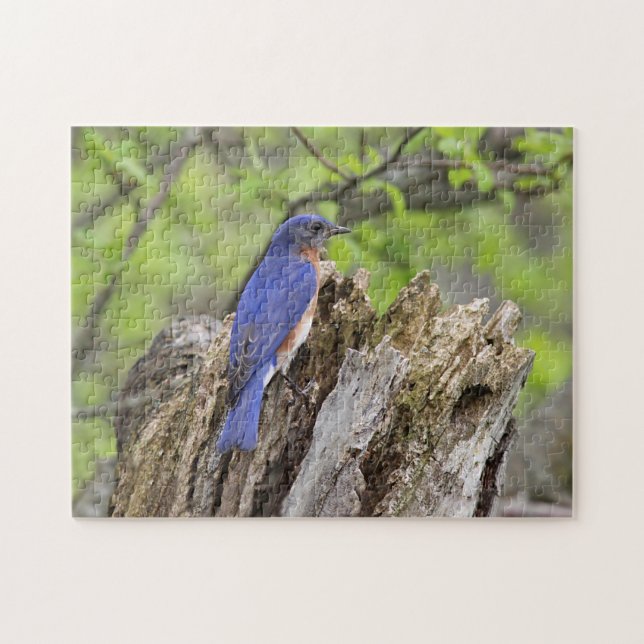 Puzzle Oiseau bleu (Horizontal)