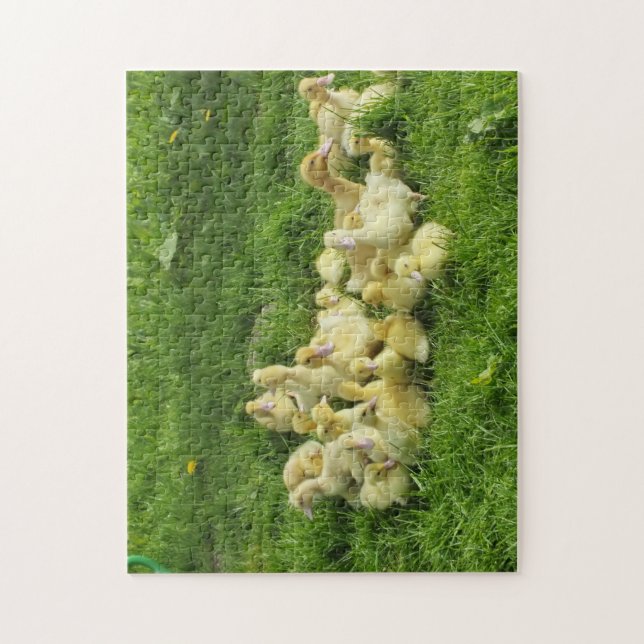 Puzzle oiseau, canard, canard, jaune, nature, mignonette, (Vertical)