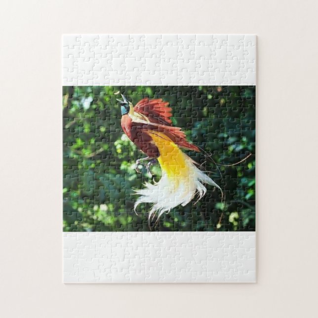 Puzzle Oiseau-de-Paradis (Vertical)
