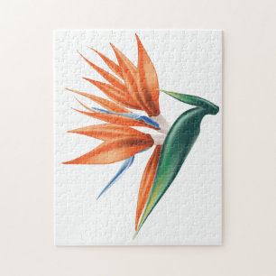 Puzzle Oiseau de paradis, fleur exotique strelitzia
