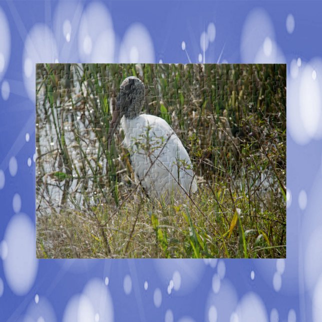 Puzzle Oiseau de Woodstork Floride Photo (A puzzle featuring a photograph of a wood stork in wetlands.)