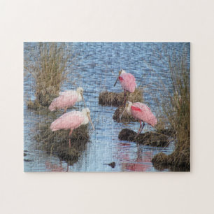 Puzzle Oiseau d'eau rose de spatules de spatule rose