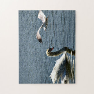 Puzzle Oiseau et cygne