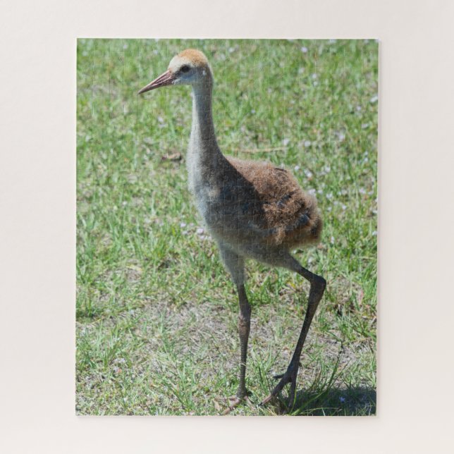 Puzzle Oiseau mignon Floride Grue de Sandhill Nature Phot (Vertical)