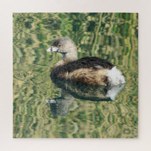 Puzzle Oiseau Photo Petite Grebe Réflexion de l'eau Natur