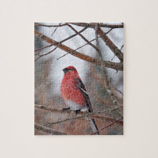 Puzzle Oiseau rouge dans la neige d'hiver