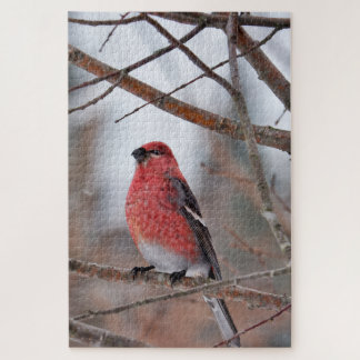 Puzzle Oiseau rouge dans la neige hivernale