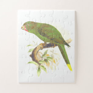 Puzzle Oiseau vert ressemblant à un perroquet perché sur 