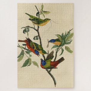 Puzzle Oiseaux d'Amérique d'Audubon