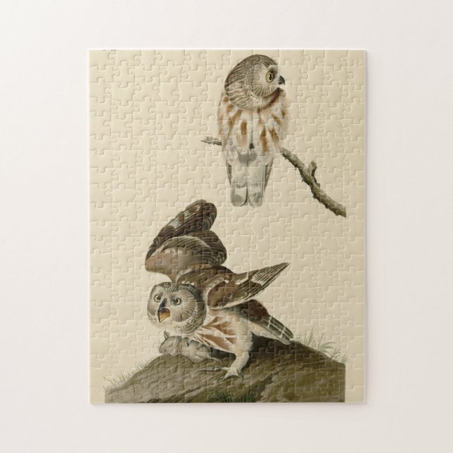 Puzzle Oiseaux d'Amérique d'Audubon (Vertical)