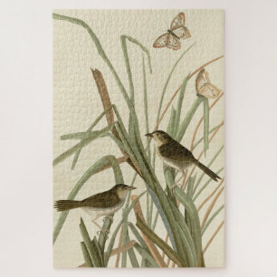 Puzzle Oiseaux d'Amérique d'Audubon