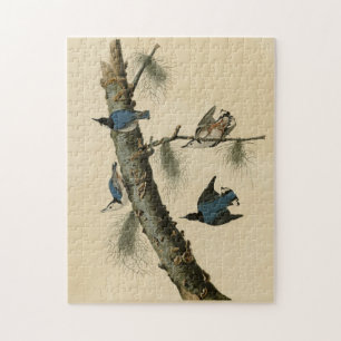 Puzzle Oiseaux d'Amérique de Nuthatch Audubon au coeur bl