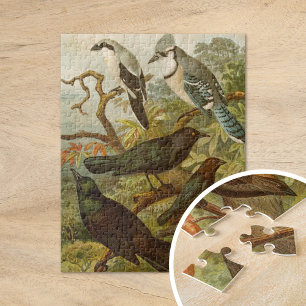 Puzzle Oiseaux d'Amérique du Nord   Gustav Mützel