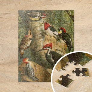 Puzzle Oiseaux d'Amérique du Nord Gustav Mützel