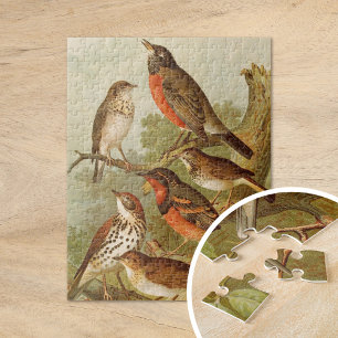 Puzzle Oiseaux d'Amérique du Nord   Gustav Mützel