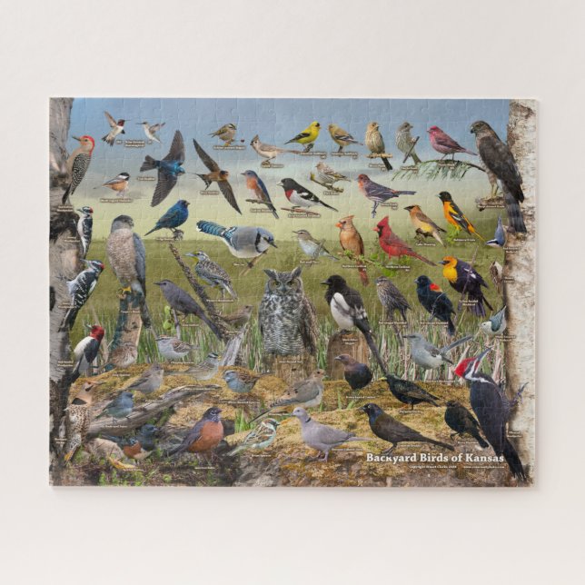 Puzzle Oiseaux de jardin du Kansas (Horizontal)