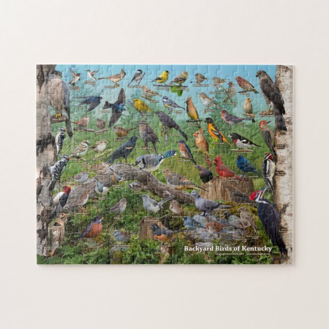 Puzzle Oiseaux de jardin du Kentucky (Horizontal)