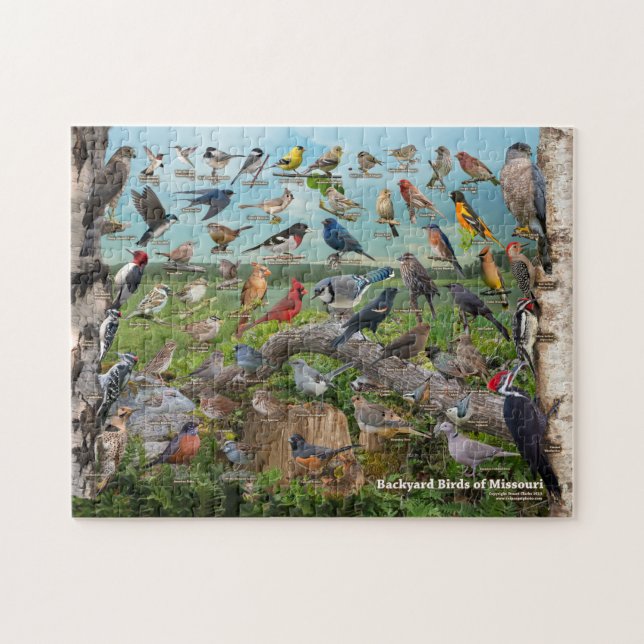 Puzzle Oiseaux de jardin du Missouri (Horizontal)