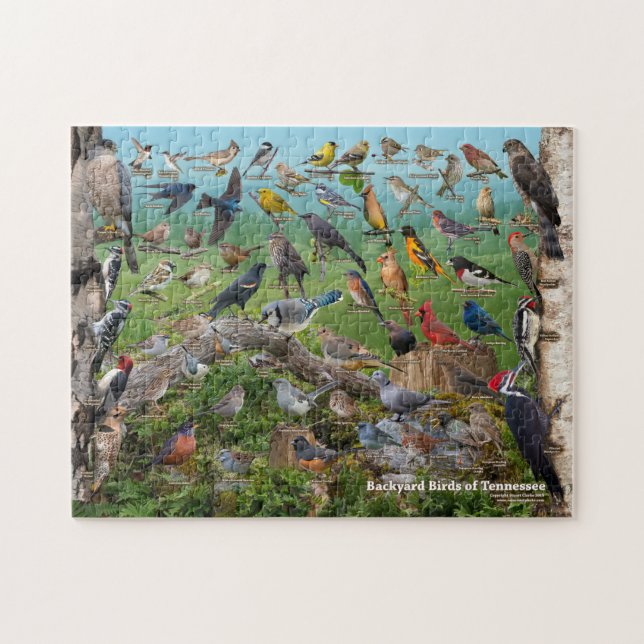 Puzzle Oiseaux de jardin du Tennessee (Horizontal)