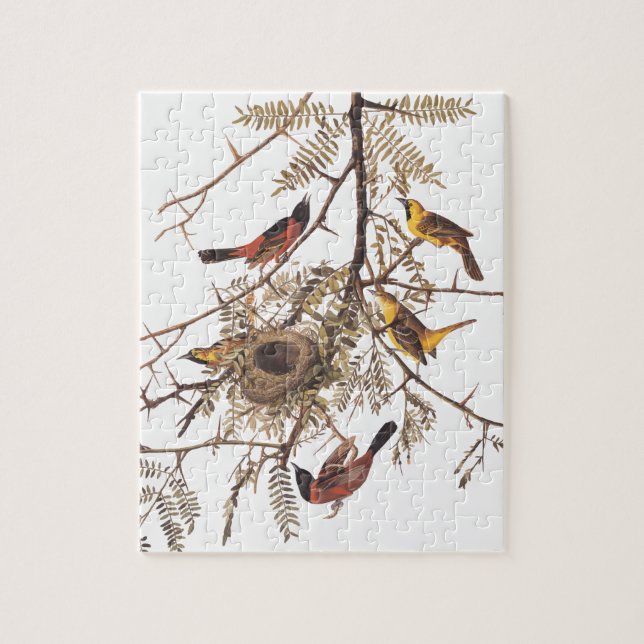 Puzzle Oiseaux d'oriole du verger d'Audubon dans le criqu (Vertical)