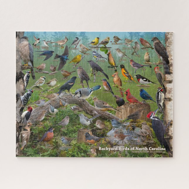 Puzzle Oiseaux Jardins de Caroline du Nord (Horizontal)