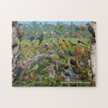 Oiseaux Jardins de la Nouvelle-Écosse
