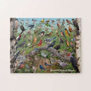 Puzzle Oiseaux Jardins de l'Illinois