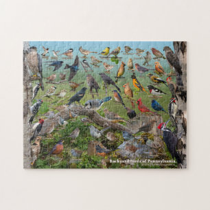 Puzzle Oiseaux Jardins de Pennsylvanie