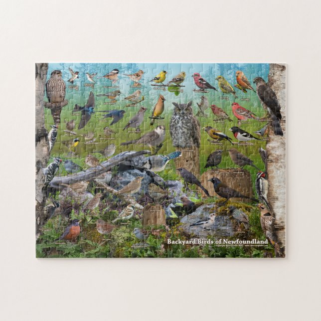 Puzzle Oiseaux jardins de Terre-Neuve (Horizontal)